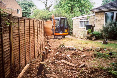 Tree stump removal of a conifer hedge